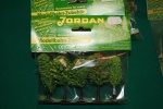 JORDAN; 8D,  5 verschiedene Laubbäume,6-8cm