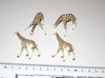 Vier Giraffen