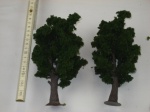 2 schöne große Bäume