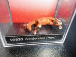 Weidendes Pferd