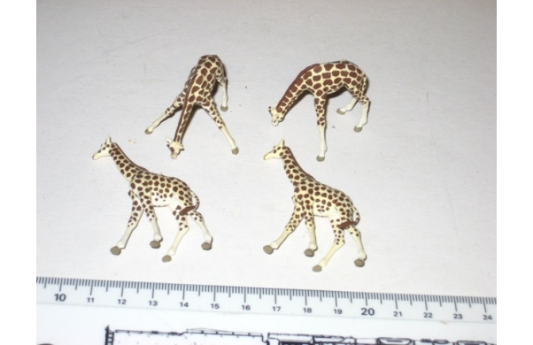 Vier Giraffen