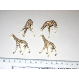 Vier Giraffen