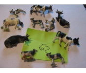 Tiere